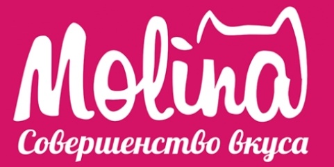 MOLINA