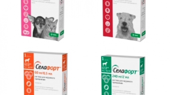 Селафорт для собак и кошек!