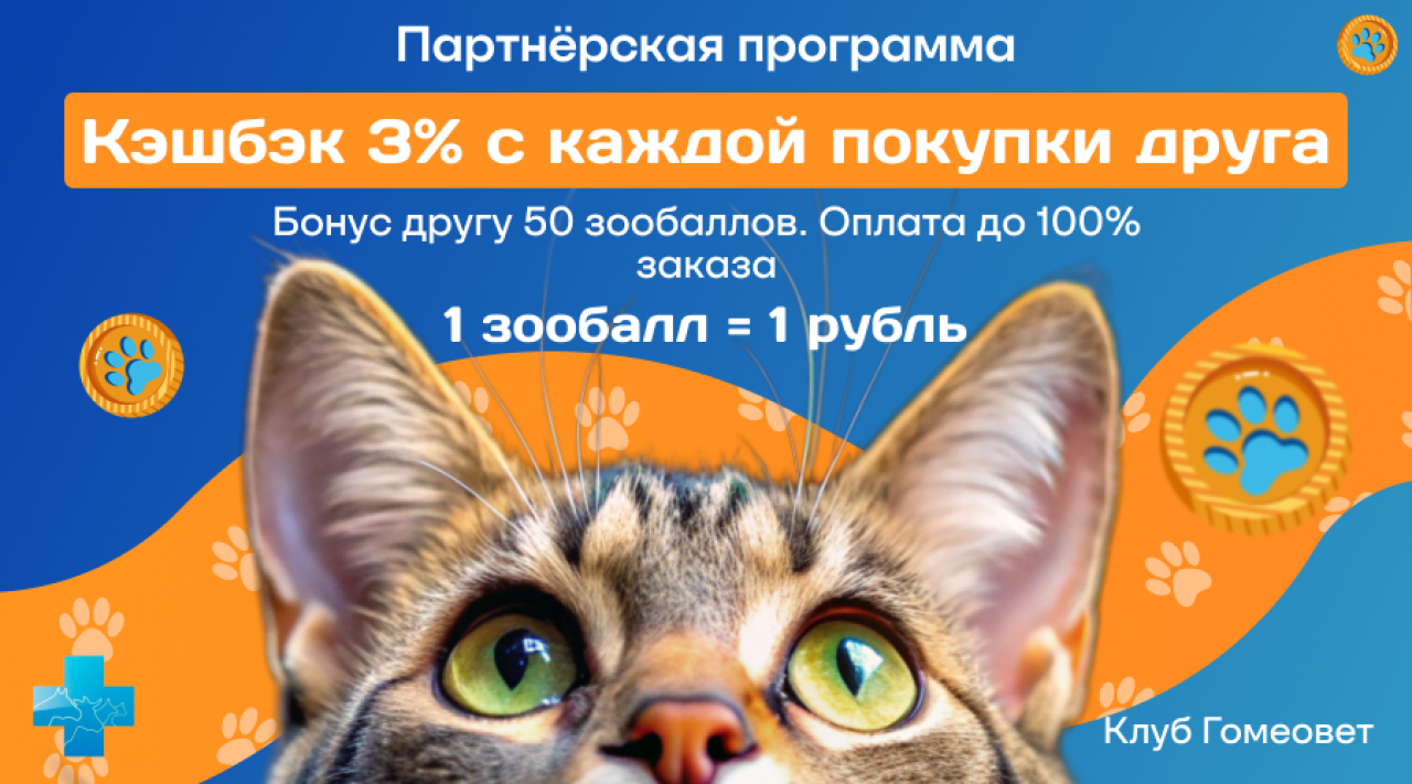 Партнёрская программа