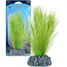 Penn-Plax Hairgrass Растение Элеохарис шелковое зеленое